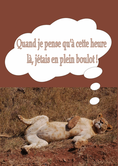 Lionne &agrave; la retraite